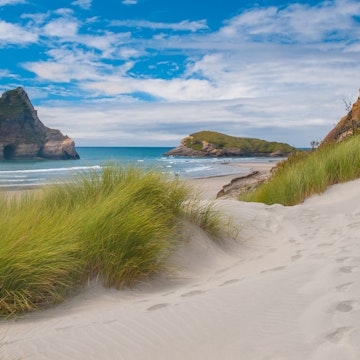 Sand Dunes and grass vegetation at famous Wharariki Beach.